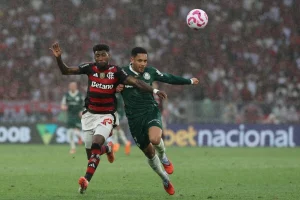 Relembre campanhas de Palmeiras e Flamengo na Libertadores