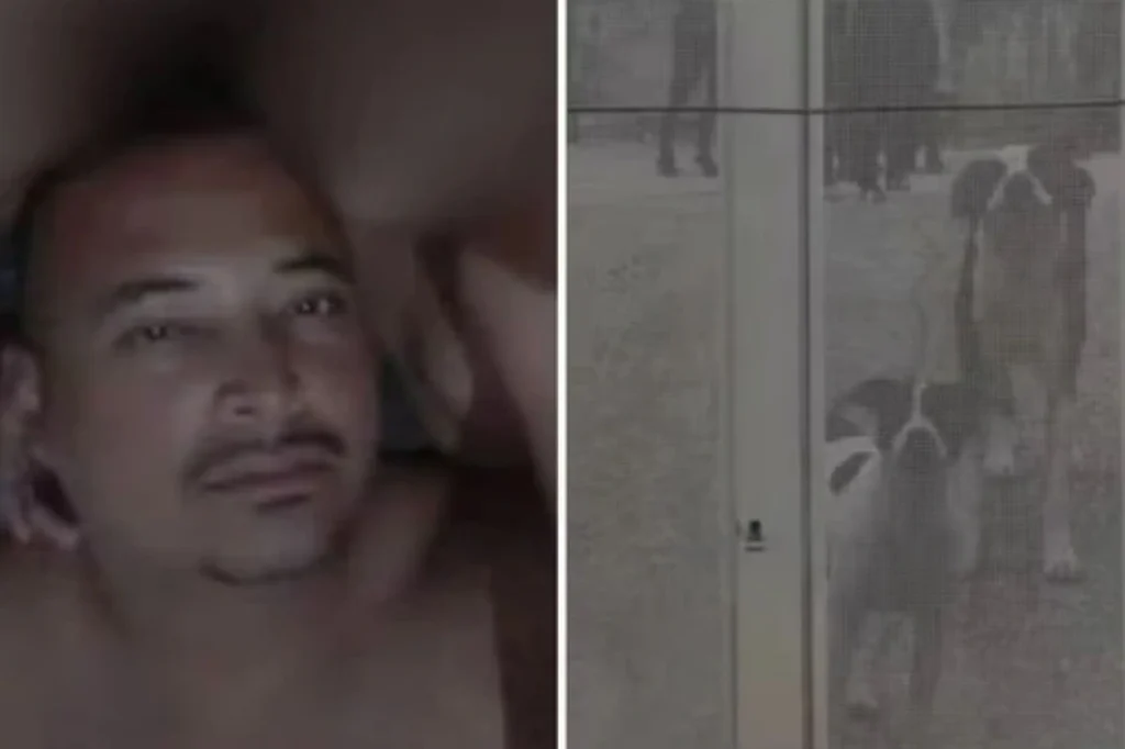 Ambulante morre após ser atacado por 10 cães dentro de chácara