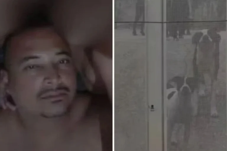 Ambulante morre após ser atacado por 10 cães dentro de chácara