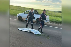 Samu afasta médica após declarar morta mulher atropelada com vida